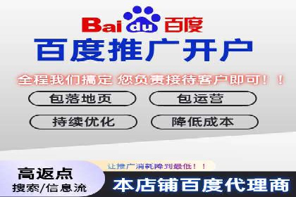 专业SEM代运营推广公司成功案例分享